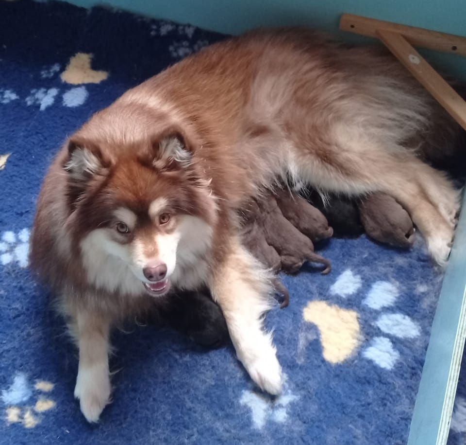 Les bébés sont nés !